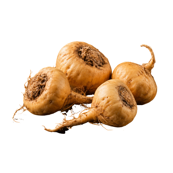 Fresh maca roots